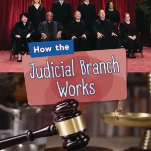 How the Judicial Branch Works Limited Offer