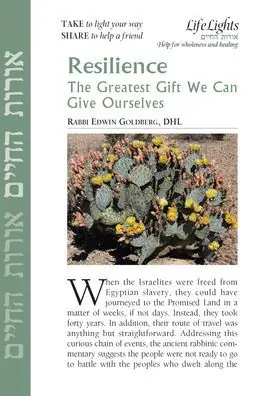 Resilience-12 Pk Holiday Sale