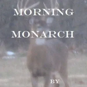 Saturday Morning Monarch In Demand