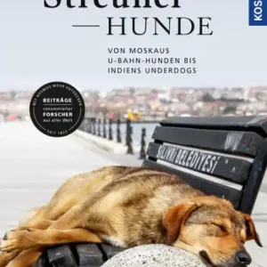 Streunerhunde: Von Moskaus U-Bahn-Hunden bis Indiens Underdogs Price Drop