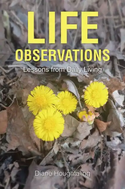 LIFE OBSERVATIONS: Lessons from Daily Living Wholesale