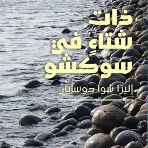 ذات شتاء في سوكشو-Winter in Sokcho Express Delivery