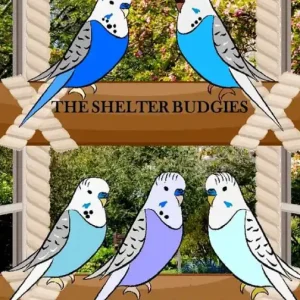 Sale The Shelter Budgies (Nana's Rescue Stories, #5)