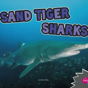 High Quality Sand Tiger Sharks: A 4D Book