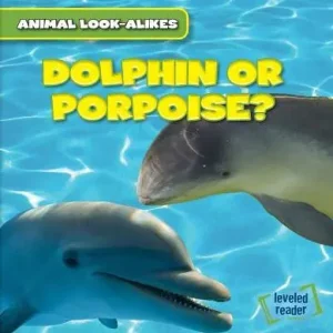 Special Discount Dolphin or Porpoise?