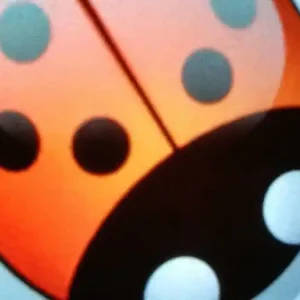 Little Flower and the Ladybug Free Delivery