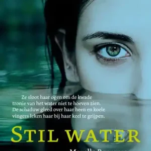 Same Day Shipping Stil Water