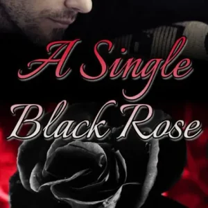 Special Discount A Single Black Rose