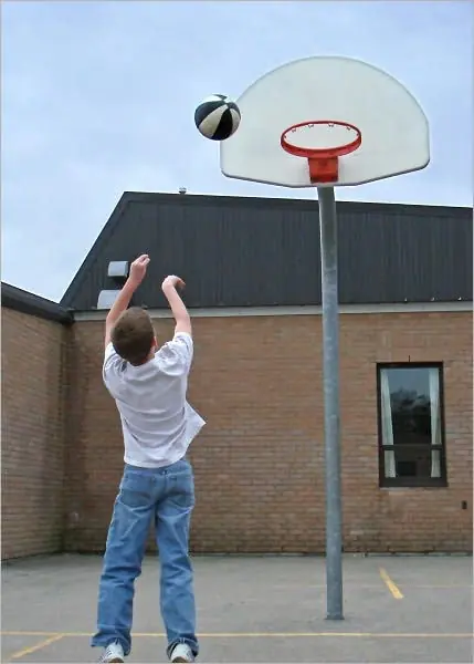 Seasonal Sale Beginners Guide to Professional Basketball Player