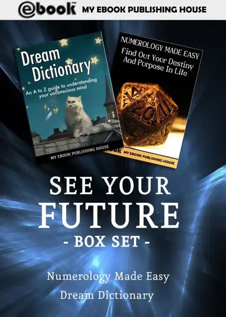 Buy Direct See Your Future Box Set