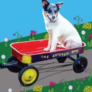 The Chicken Bus Express to the Redo Shop Chapter Book: Sound-Out Phonics Books Help Developing Readers, including Students with Dyslexia, Learn to Read (Step 10 in a Systematic Series of Decodable Books) Holiday Sale