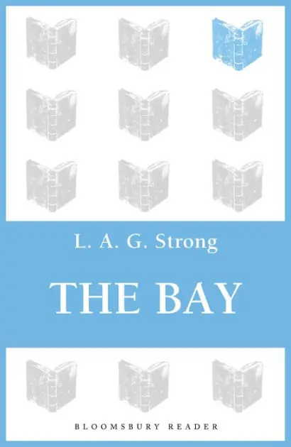 The Bay Reduced Price