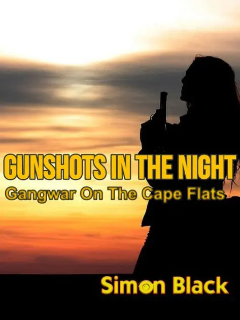 Gunshots In The Night Factory Price