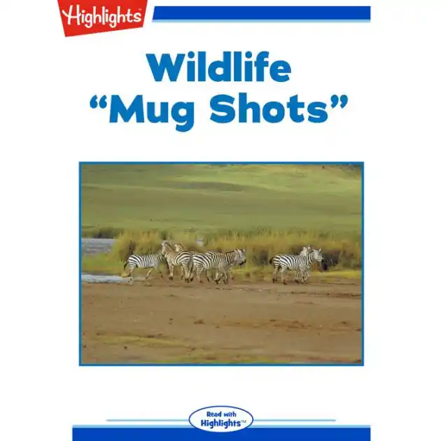 Wildlife: Mug Shots Special Offer