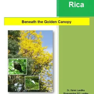 Beneath the Golden Canopy Best Seller