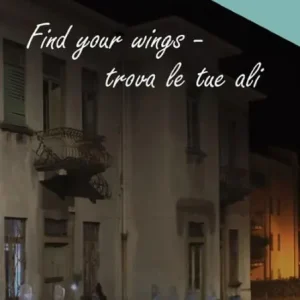 Find your wings Wholesale