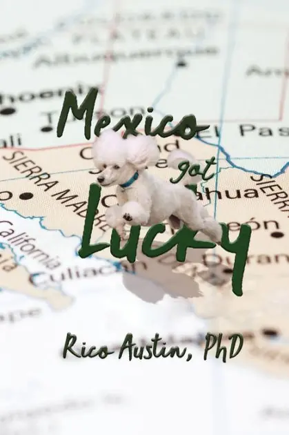 Luxury Mexico Got Lucky: Updated Edition