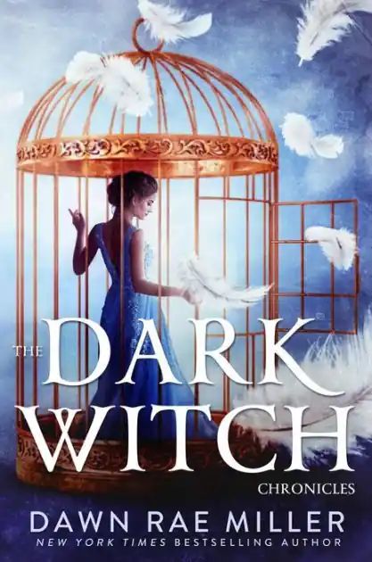 The Dark Witch Chronicles Boxset Crafted