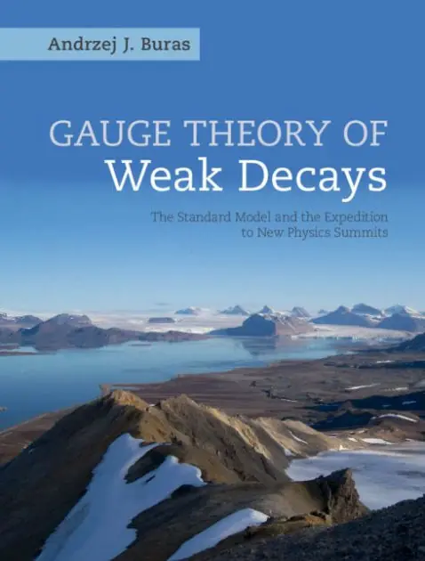 Direct From Factory Gauge Theory of Weak Decays: The Standard Model and the Expedition to New Physics Summits