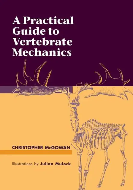 Flash Sale A Practical Guide to Vertebrate Mechanics