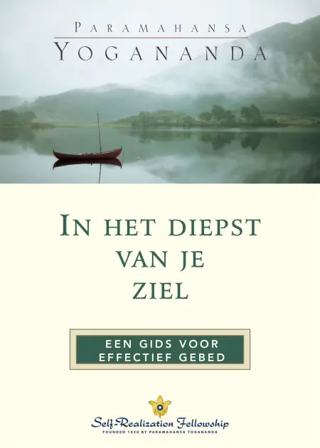 Buy Today In the Sanctuary of the Soul (Dutch)