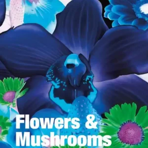 Free Delivery Flowers and Mushrooms