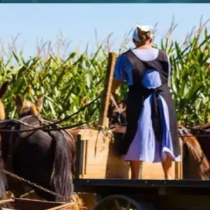 The Woman the Amish Shunned Direct From Factory