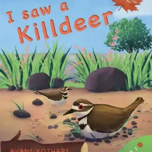 Buy Online I saw a Killdeer