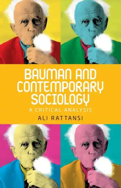 Bauman and contemporary sociology: A critical analysis Wholesale