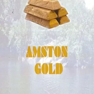 Amston Gold (Amston Lake, #7) Best Price