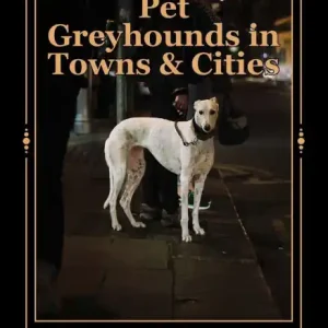 Mega Sale Pet Greyhounds in Towns & Cities: for greyhounds and other sighthounds
