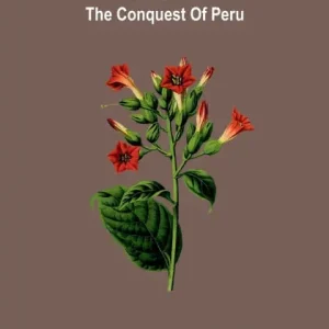 Get Yours The virgin of the sun; A tale of the conquest of Peru