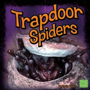 Free Returns Trapdoor Spiders
