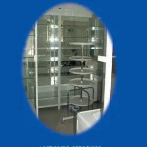 Holiday Sale Sample Management Plans for Healhcare Company