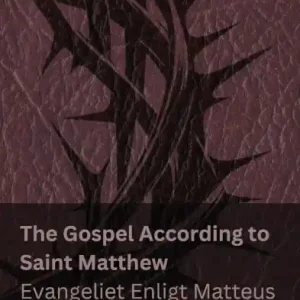 Next Day Delivery The Bible (The Gospel According to Saint Matthew) / Bibeln (Evangeliet Enligt Matteus): Tranzlaty English Svenska