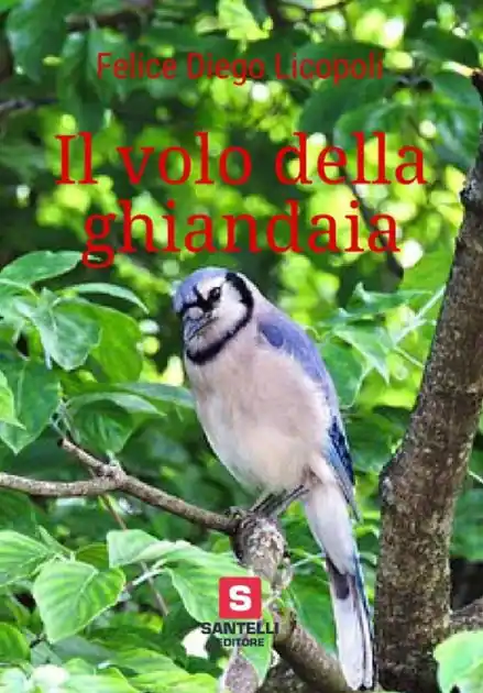 Fan Favorite Il volo della ghiandaia