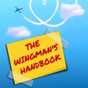 The Wingman's Handbook: A Guide to Teenage Romance by a Teenage Romantic Original