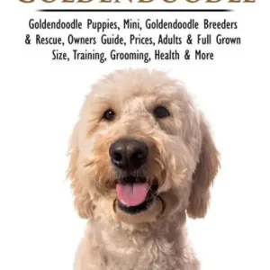 Next Day Delivery Goldendoodle: Goldendoodles Owners Bible: Goldendoodle Puppies, Mini, Goldendoodle Breeders & Rescue, Owners Guide, Prices, Adults & Full Grown Size, Training, Grooming, Health, & More