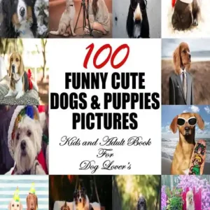 Deal 100 Funny Cute Dogs & Puppies Pictures