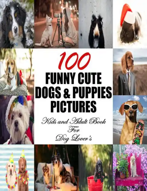 Deal 100 Funny Cute Dogs & Puppies Pictures