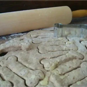 Best Choice Dog Treat Bakery Start Up Sample Business Plan!