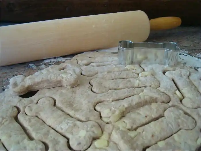 Best Choice Dog Treat Bakery Start Up Sample Business Plan!