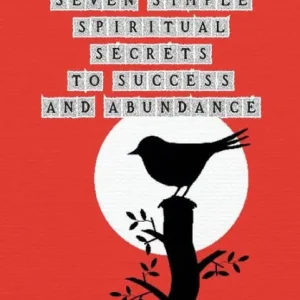 Seven Simple Spiritual Secrets to Success and Abundance Low Price