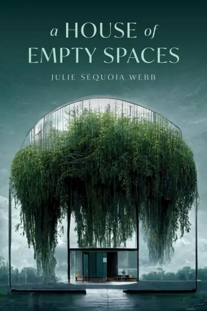 A House of Empty Spaces Buy Today