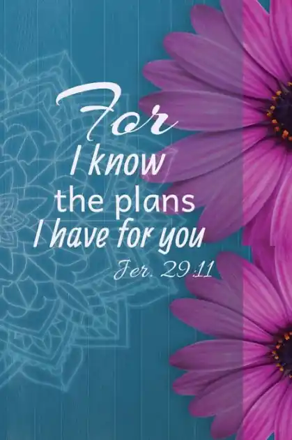 In Demand Journal: For I Know the Plans I Have For You, Jer. 29:11: