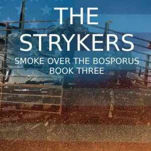 The Strykers Best Choice