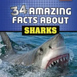 In Demand 34 Amazing Facts about Sharks