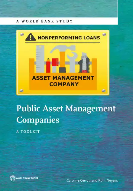 Sale Public Asset Management Companies: A Toolkit