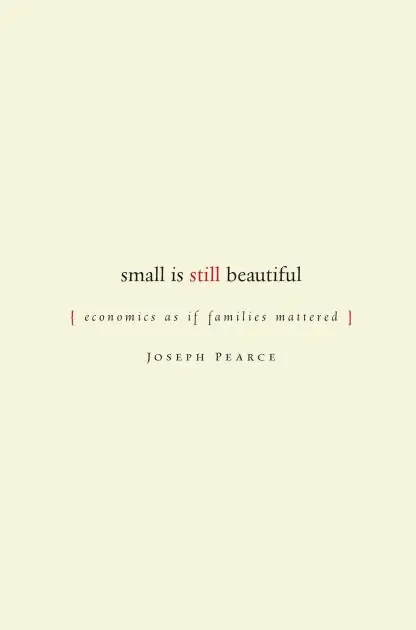 Grab Now Small is Still Beautiful: Economics as if Families Mattered