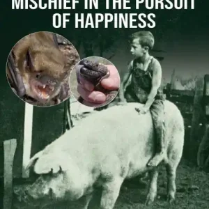 A Young Man's Mischief in the Pursuit of Happiness Top Pick